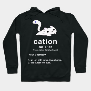 Cation. Cat with positive ion. Chemistry Pun. Hoodie